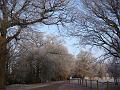 Wychcroft 2009 002